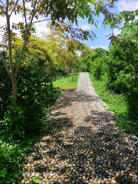 IMG_20200829_125341.jpg IMG_20200829_125341.jpg