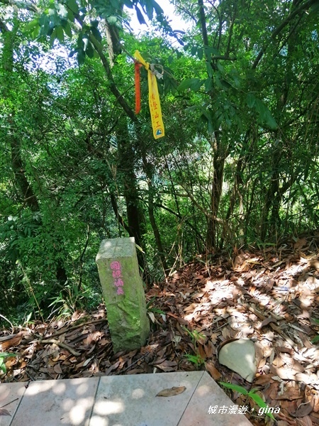 IMG_20200829_125806.jpg IMG_20200829_125806.jpg