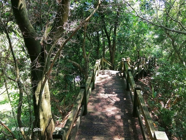 IMG_20200829_131802.jpg IMG_20200829_131802.jpg