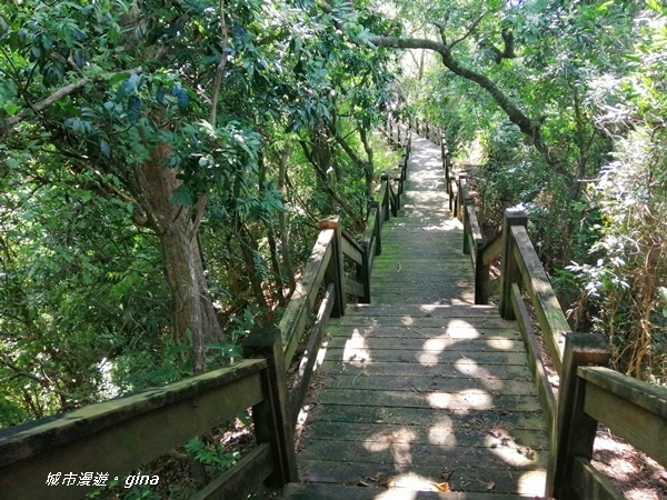 IMG_20200829_131614.jpg IMG_20200829_131614.jpg