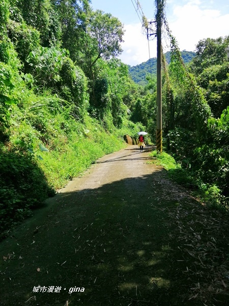 IMG_20200829_132438.jpg IMG_20200829_132438.jpg