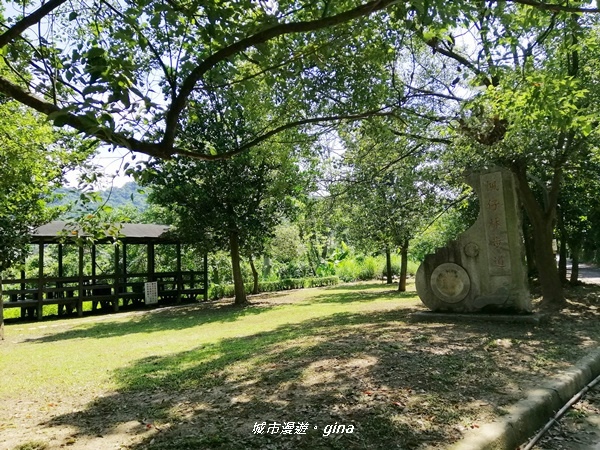 IMG_20200829_134025.jpg IMG_20200829_134025.jpg