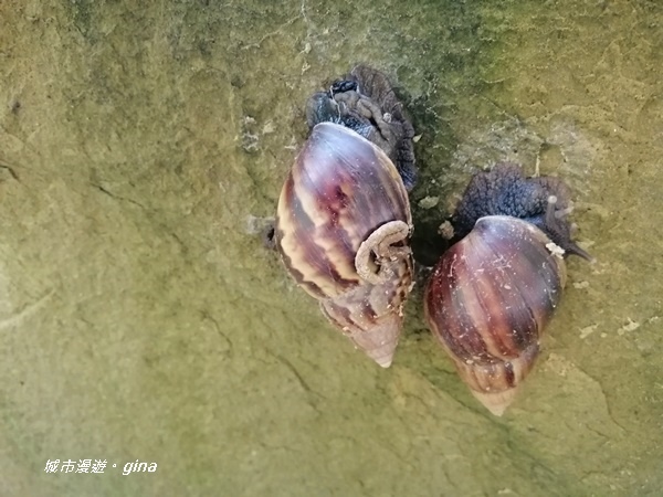 IMG_20200829_133004.jpg IMG_20200829_133004.jpg