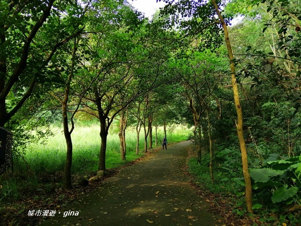 【彰化二水】台灣百大必訪步道。 坑內坑森林步道