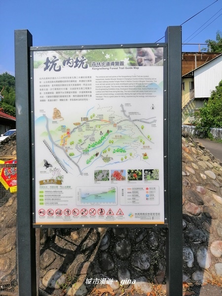 【彰化二水】台灣百大必訪步道。 坑內坑森林步道