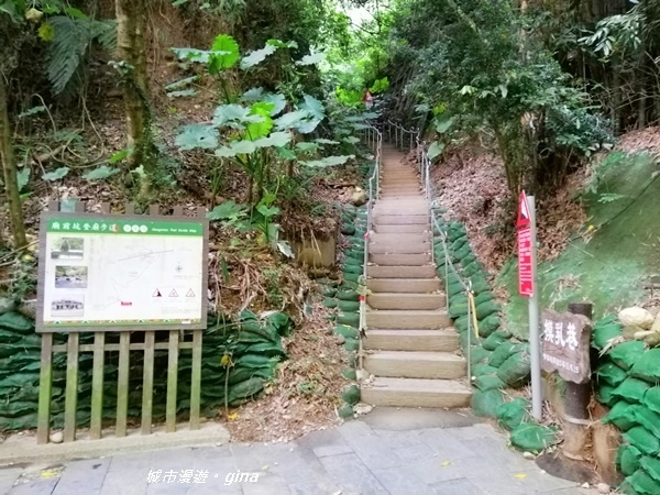 【彰化二水】台灣百大必訪步道。 松柏嶺登廟步道