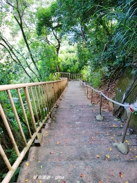 IMG_20200905_163513.jpg IMG_20200905_163513.jpg