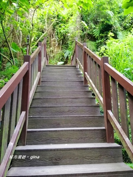 IMG_20200905_163721.jpg IMG_20200905_163721.jpg