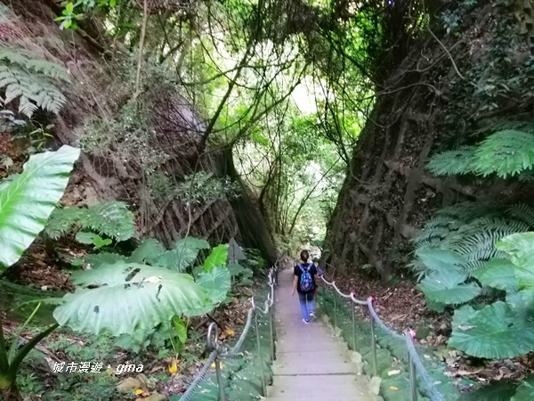 IMG_20200905_163745.jpg IMG_20200905_163745.jpg