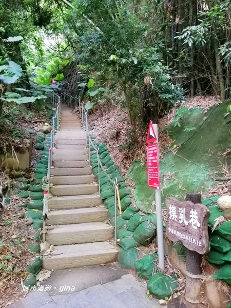 【彰化二水】台灣百大必訪步道。 松柏嶺登廟步道