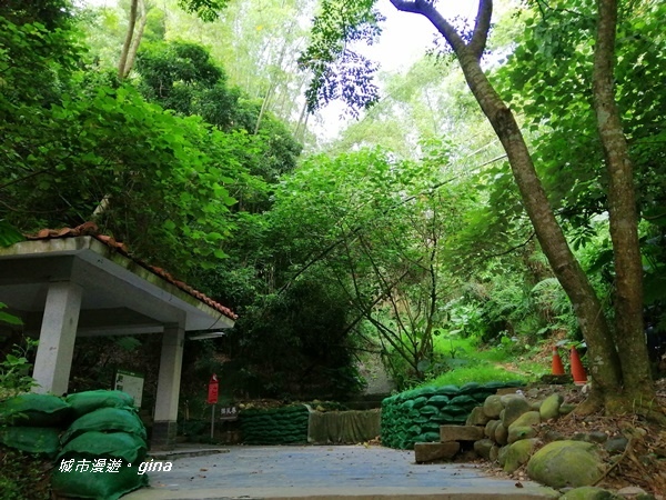 IMG_20200905_164137.jpg IMG_20200905_164137.jpg