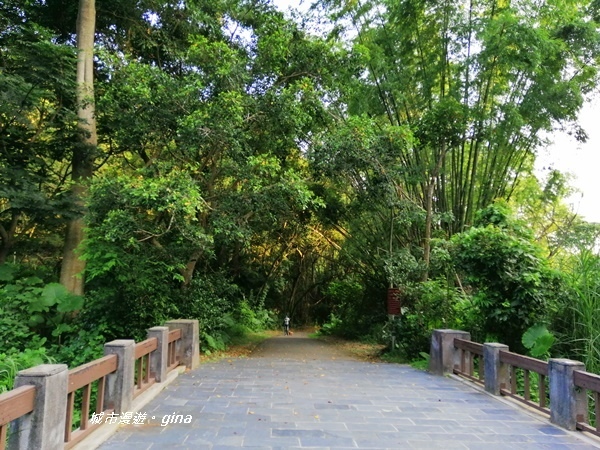 IMG_20200905_164608.jpg IMG_20200905_164608.jpg