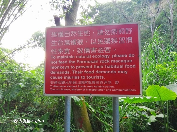 IMG_20200905_164625.jpg IMG_20200905_164625.jpg