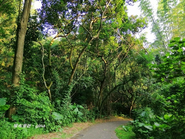 【彰化二水】台灣百大必訪步道。 松柏嶺登廟步道