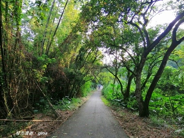 IMG_20200905_164750.jpg IMG_20200905_164750.jpg