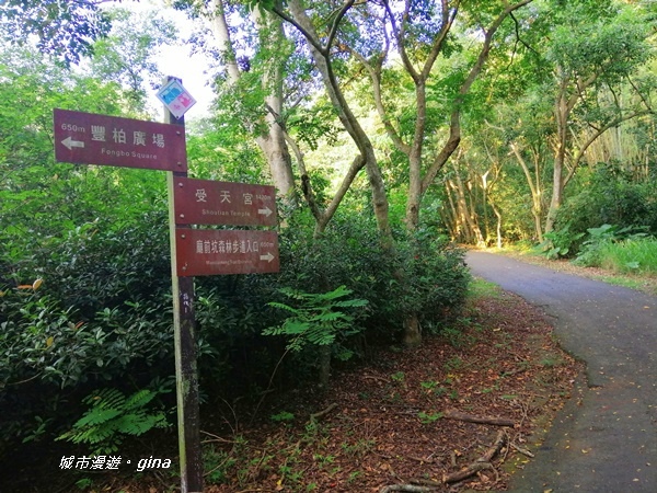 【彰化二水】台灣百大必訪步道。 松柏嶺登廟步道