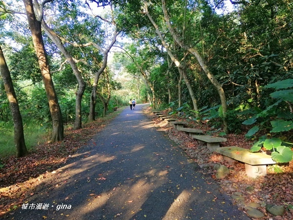 【彰化二水】台灣百大必訪步道。 松柏嶺登廟步道