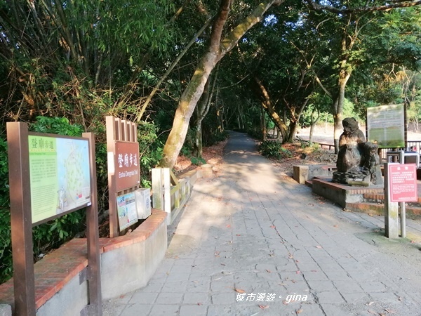 IMG_20200905_170909.jpg IMG_20200905_170909.jpg