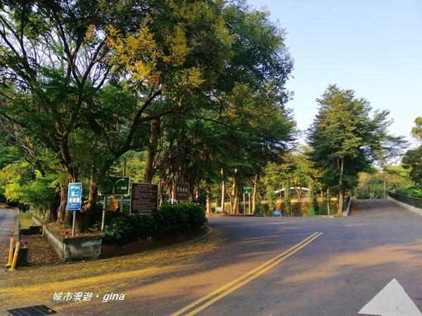 IMG_20200905_171332.jpg IMG_20200905_171332.jpg