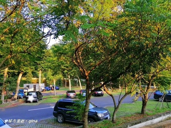 IMG_20200905_171220.jpg IMG_20200905_171220.jpg