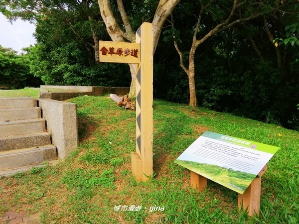 IMG_20200910_155930.jpg IMG_20200910_155930.jpg