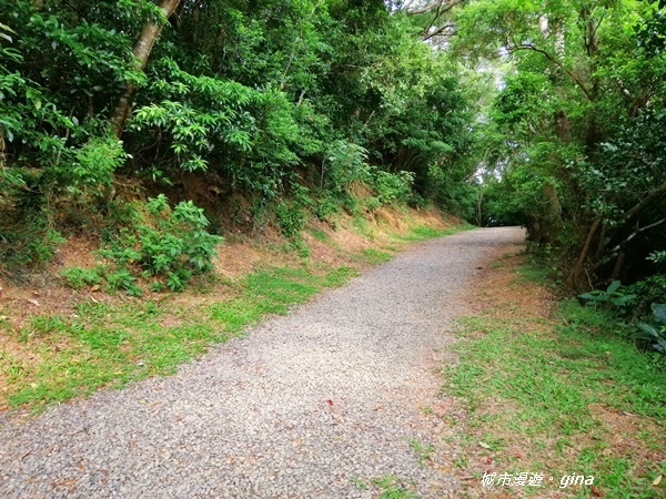 IMG_20200910_160200.jpg IMG_20200910_160200.jpg