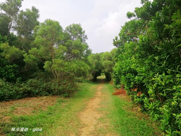 IMG_20200910_161826.jpg IMG_20200910_161826.jpg