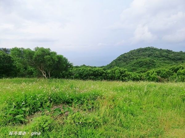 IMG_20200910_162016.jpg IMG_20200910_162016.jpg