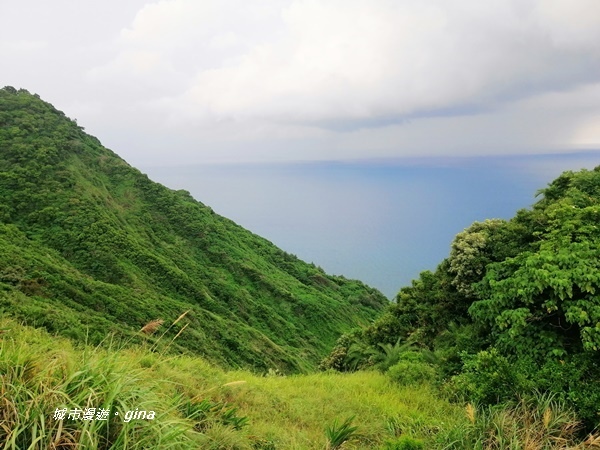 IMG_20200910_162845.jpg IMG_20200910_162845.jpg