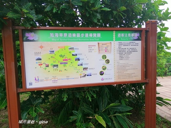 IMG_20200910_163325.jpg IMG_20200910_163325.jpg