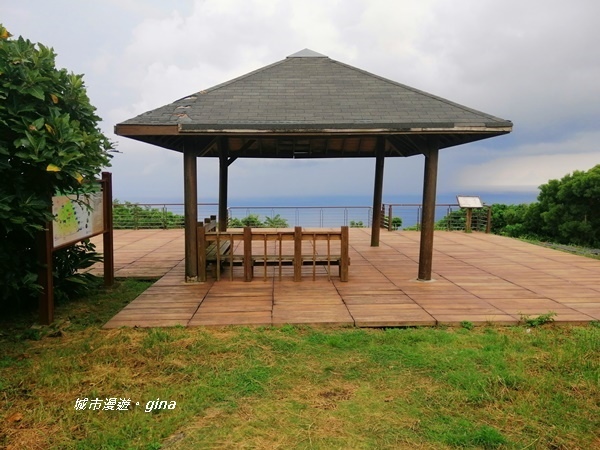 IMG_20200910_163519.jpg IMG_20200910_163519.jpg