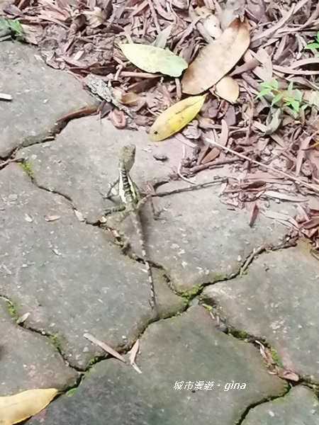 IMG_20200910_163555.jpg IMG_20200910_163555.jpg