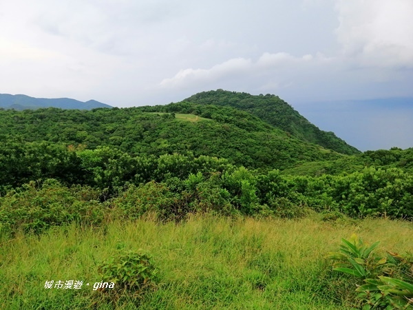 IMG_20200910_163928.jpg IMG_20200910_163928.jpg