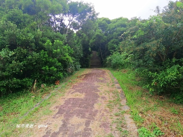 IMG_20200910_163502.jpg IMG_20200910_163502.jpg