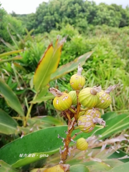 IMG_20200910_163823.jpg IMG_20200910_163823.jpg