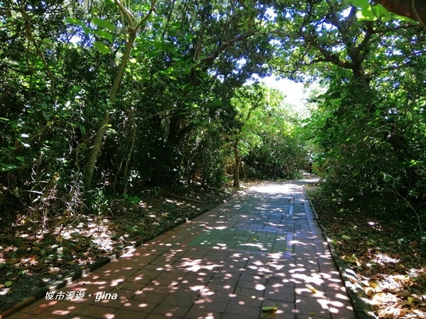 IMG_20200911_114418.jpg IMG_20200911_114418.jpg