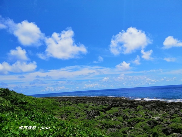 IMG_20200911_115231.jpg IMG_20200911_115231.jpg