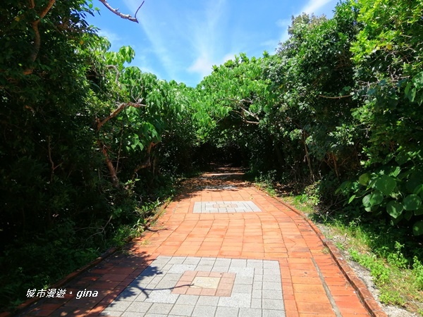 IMG_20200911_120022.jpg IMG_20200911_120022.jpg