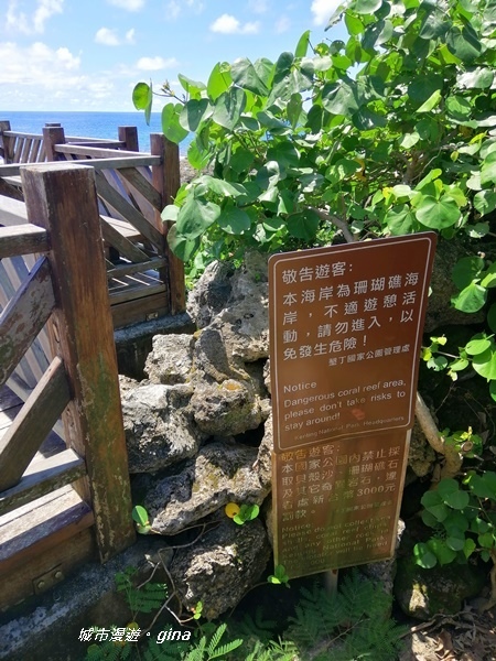 IMG_20200911_115453.jpg IMG_20200911_115453.jpg