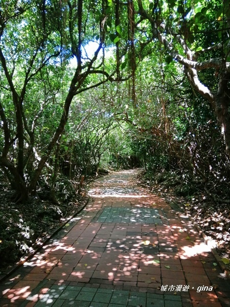 IMG_20200911_120328.jpg IMG_20200911_120328.jpg