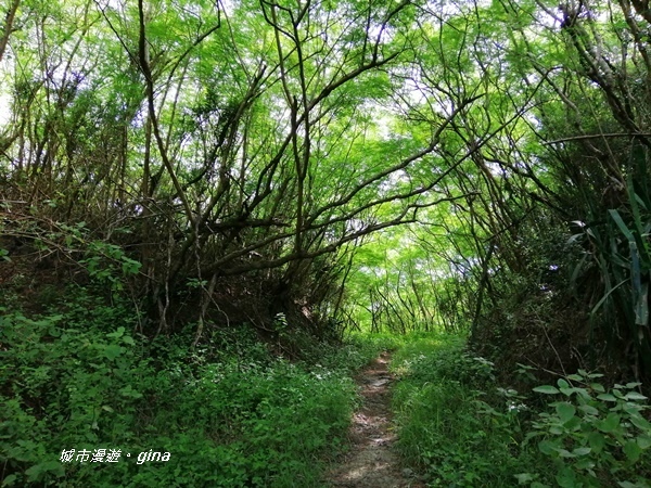 【屏東。恆春】兩個女生的探險記。 No81小百岳大山母山