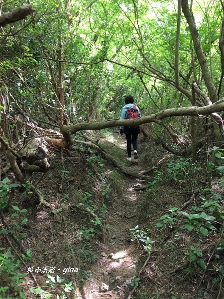 【屏東。恆春】兩個女生的探險記。 No81小百岳大山母山