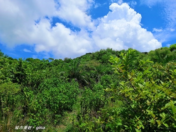 【屏東。恆春】兩個女生的探險記。 No81小百岳大山母山