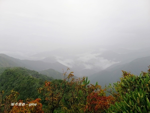 IMG_20200928_132703.jpg IMG_20200928_132703.jpg