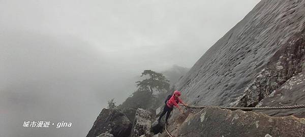 IMG_20200928_132705.jpg IMG_20200928_132705.jpg