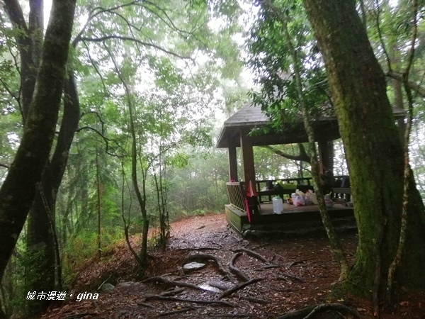 IMG_20200928_133348.jpg IMG_20200928_133348.jpg