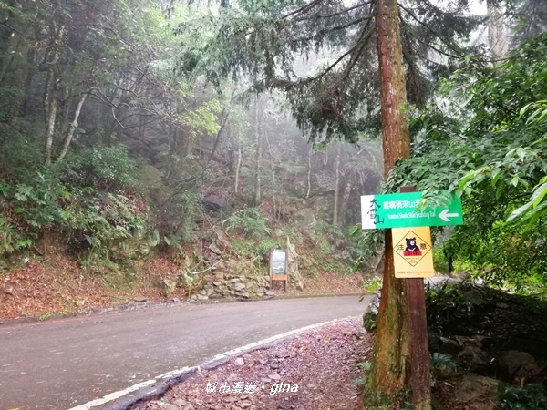 IMG_20200928_132804.jpg IMG_20200928_132804.jpg