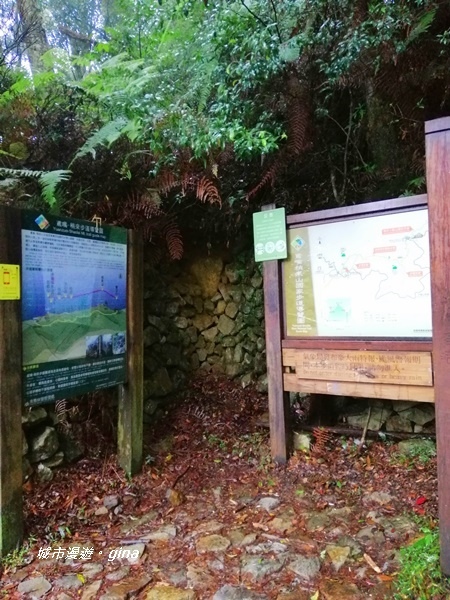 IMG_20200928_133216.jpg IMG_20200928_133216.jpg