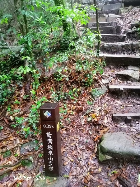 IMG_20200928_134050.jpg IMG_20200928_134050.jpg