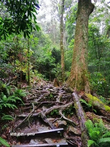 IMG_20200928_134632.jpg IMG_20200928_134632.jpg